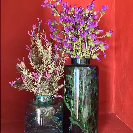 Sol Cinco Σπίτι διακοπών