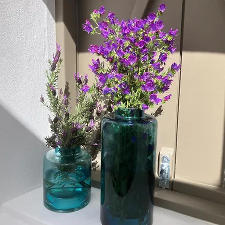 Sol Cinco Casa de Férias Arelho