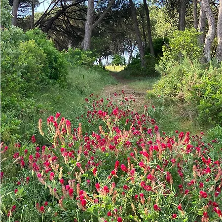 Casa de Férias Sol Cinco *