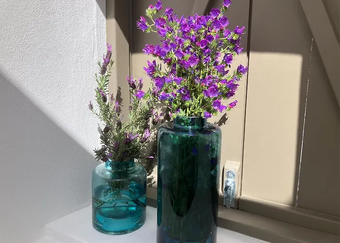 Sol Cinco Vakantiehuis Arelho