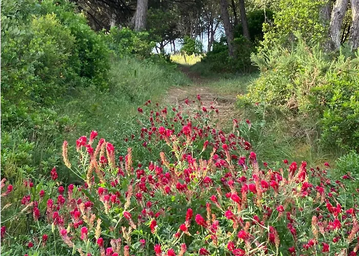 度假居 Sol Cinco *